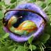 Accessory - Fabric: Felted Twig Baskets