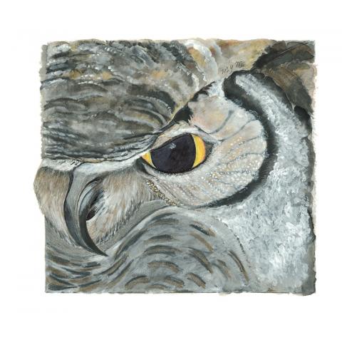 Giclee Print: Prescience