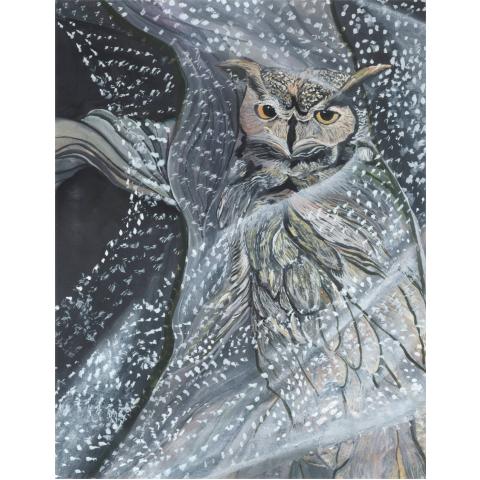 Giclee Print: Ativus the Hazelcus Owl