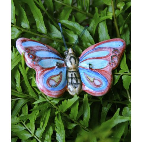 Birth Butterfly: Adrian