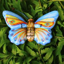 Birth Butterfly: Phoebe