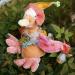 Duckling: Darcy the Duckling - Honorary Friend of The Whimbles