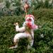 Hare for All Seasons: Aloysius Aster the Harvest Hare - Honorary Friend of The Whimbles