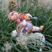 Hare for All Seasons: Aloysius Aster the Harvest Hare - Honorary Friend of The Whimbles