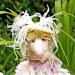 Hare for All Seasons: Darby Delphinium the Spring Hare - Honorary Friend of The Whimbles