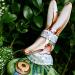 Orchid Whimble: Sasha from The Grasslands, Lumenesia