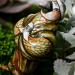 Woodland Whimble: Manning from The Woodlands