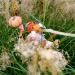 2011: Dimensional Work - Aloysius Aster from The Hares for All Seasons Collection