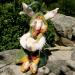 Rabbit: Bostwick the Rabbit Scribe - Honorary Friend of The Whimbles