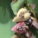 Wreath: Serendipitous Heart Wreath