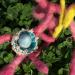 Whimble Vignette - Fabric:  The Small Penstemon Farm Grove