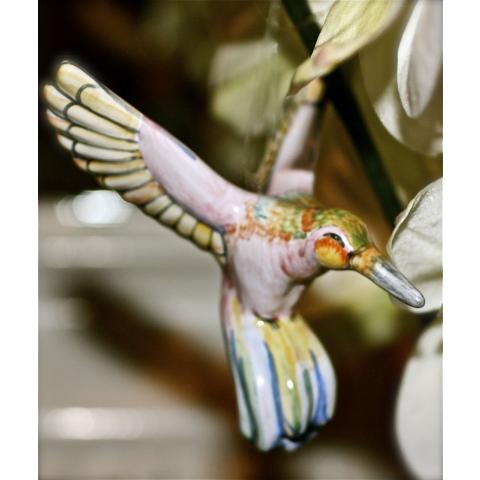 Anciennan: Nikki the Rose Coast Hummingbird