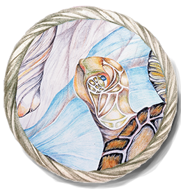 Pagos the Emerald Sea Turtle